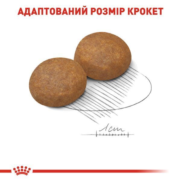 Royal Canin Maxi Adult 5+, 15кг 30081500 фото
