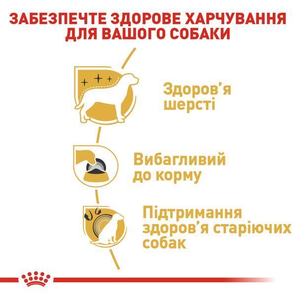 Royal Canin Yorkshire Terrier Adult, 0,5кг 3051005 фото
