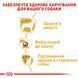 Royal Canin Yorkshire Terrier Adult, 0,5кг 3051005 фото 3