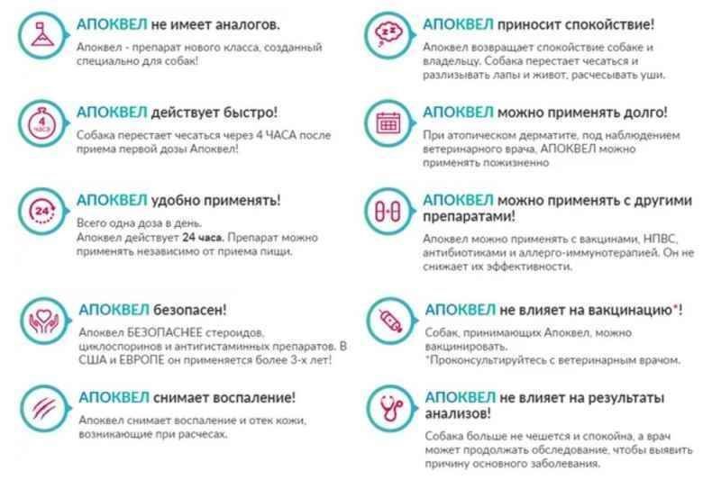 переваги таблеток Апоквель 16мг проти зуду у собак