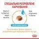 Royal Canin Yorkshire Terrier Ageing 8+, 1,5кг 1260015 фото 2