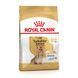 Royal Canin Yorkshire Terrier Ageing 8+, 1,5кг 1260015 фото 1