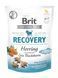 Brit Care Dog Snack Recovery Herring & Sea Bluckthorn, 150г 111426 фото 1