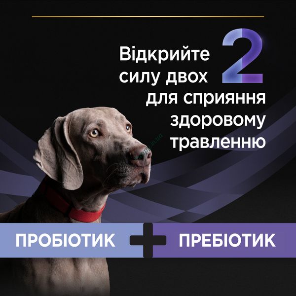 FortiFlora Plus Canine - Пробіотик та Пребіотик для собак по Штучно 50493_1 фото