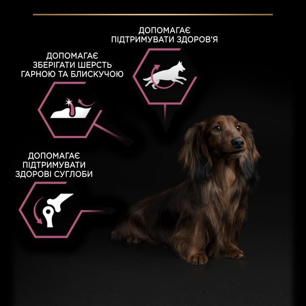Pro Plan Dog Adult Small & Mini Sensitive Skin Salmon, 0,7кг 12080 фото
