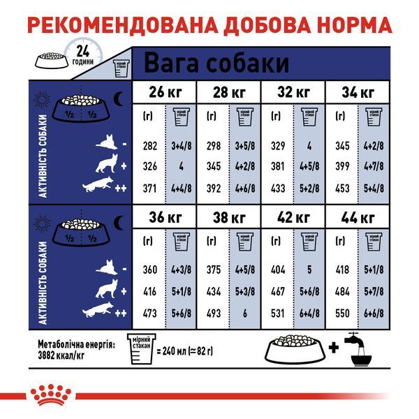 Royal Canin Maxi Ageing 8+, 15кг 24541500 фото