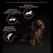 Pro Plan Dog Adult Small & Mini Sensitive Skin Salmon, 0,7кг 12080 фото 2