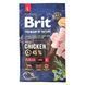 Brit Premium Dog Junior L, 3кг 170823/6420 фото 1