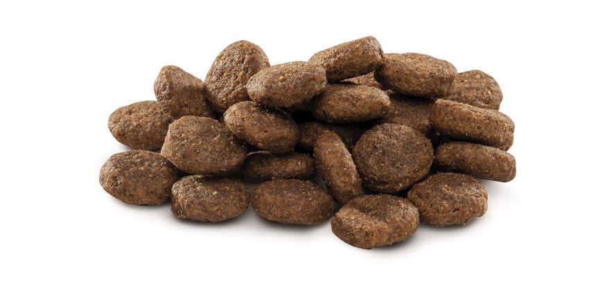 Brit Premium Dog Junior L, 3кг 170823/6420 фото