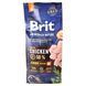 Brit Premium Dog Junior M, 15кг 170814/6338 фото 1