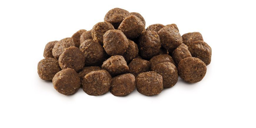 Brit Premium Dog Junior M, 15кг 170814/6338 фото