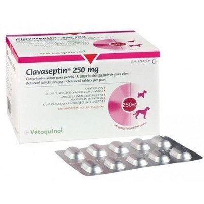 Clavaseptin антибіотик зі смаком м'яса для собак та котів, дозировка: 250мг, 10 табл VIT73762 фото