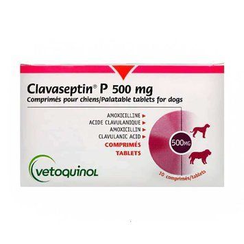 Фронтальний вигляд упаковки антибіотика Clavaseptin зі смаком м'яса, дозування 500мг, 10 таблеток для собак та котів.