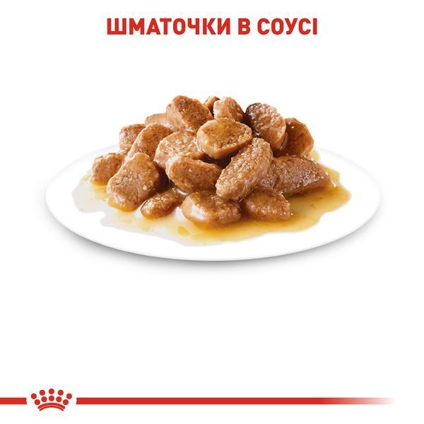 Royal Canin Mini Adult Sauce Pouch, 85г 109600100 фото
