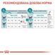 Задоволений літній кіт споживає корм Royal Canin. Смачне та корисне рішення для щоденного раціону стерилізованих котів 11+.