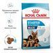 Royal Canin Maxi Starter, 4кг 29940400 фото 2