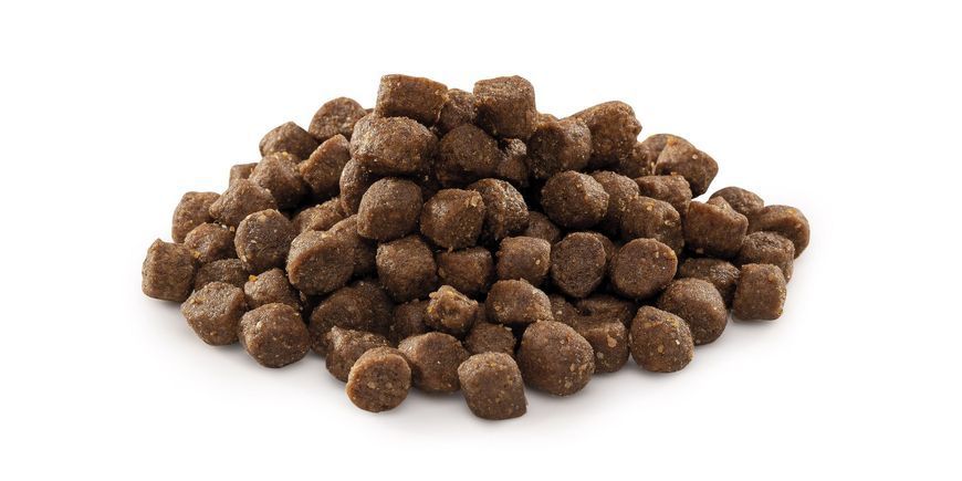Brit Premium Dog Junior S, 3кг 170807/6260 фото