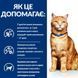 Hill's Wet PD Feline C/D Salmon - Лікування циститів, струвітів, оксалатів, 85г 605602 фото 3